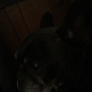 Meet your Posher, Destiny